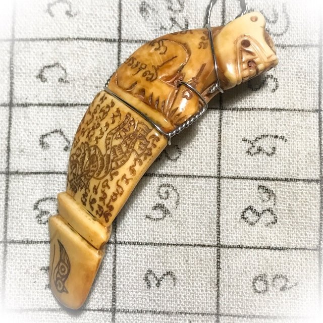 Carved Boars Tusk Tiger Amulet with Inscriptions Luang Por Sawai 14 amulet20 JPG