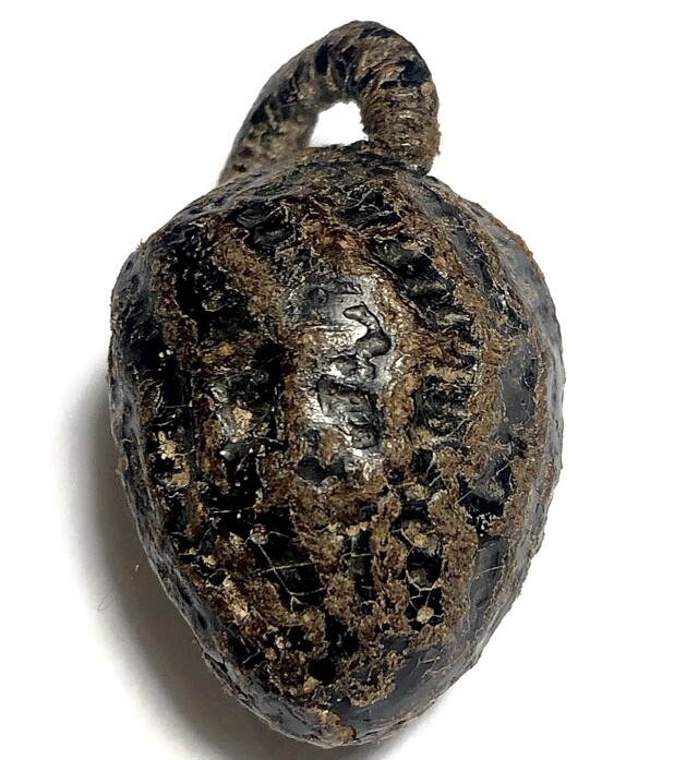 Hmak Tui Mad Chueak Sacred Areca Nut Sacred Thai Talismanic amulet (2450 BE), from the Great Luang Phu Iam Wat Hnang