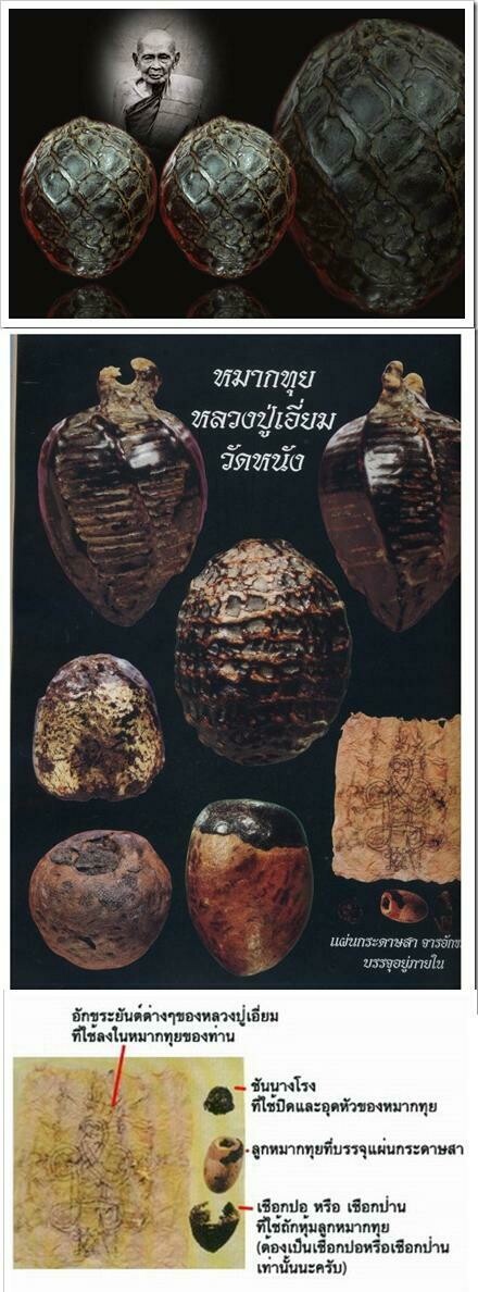 Sacred Areca Nut amulet versions Luang Phu Iam